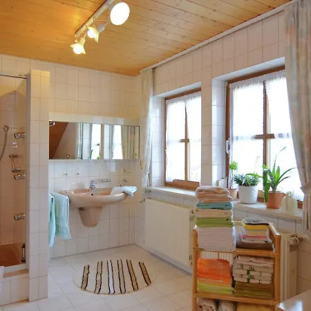 Flat With Sauna In The Bavarian Forest Apartment *