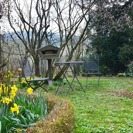 Flat With Sauna In The Bavarian Forest Apartment *