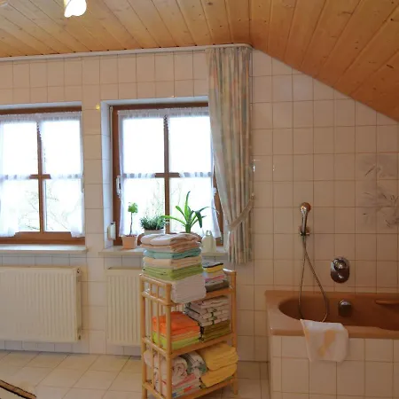 Apartment Flat With Sauna In The Bavarian Forest *