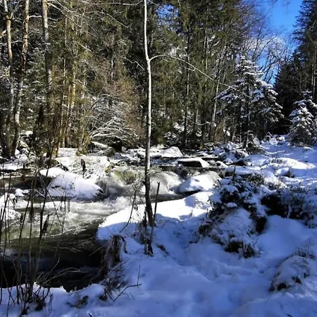 Flat With Sauna In The Bavarian Forest Apartmán