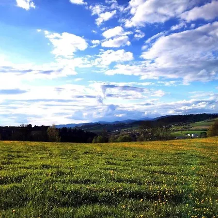 Flat With Sauna In The Bavarian Forest