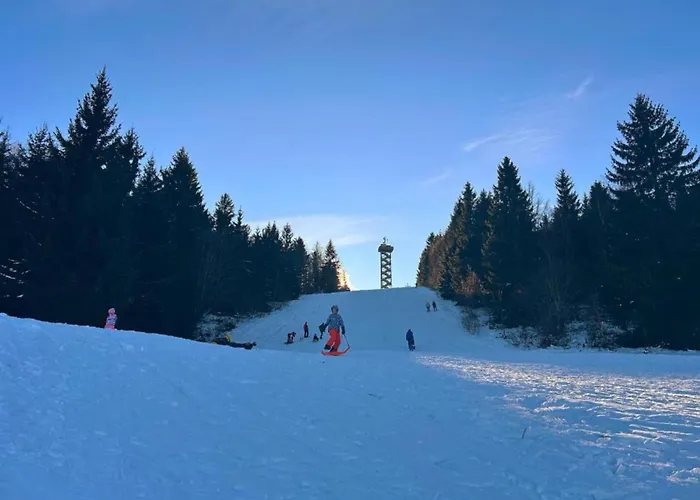 In Bernhardsberg Nahe Skipisten Апартаменты Вальдкирхен