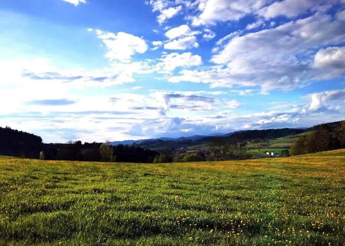 In Bernhardsberg Nahe Skipisten * Вальдкирхен