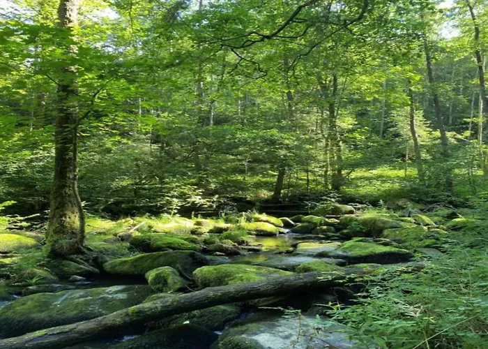In Bernhardsberg Nahe Skipisten Апартаменты