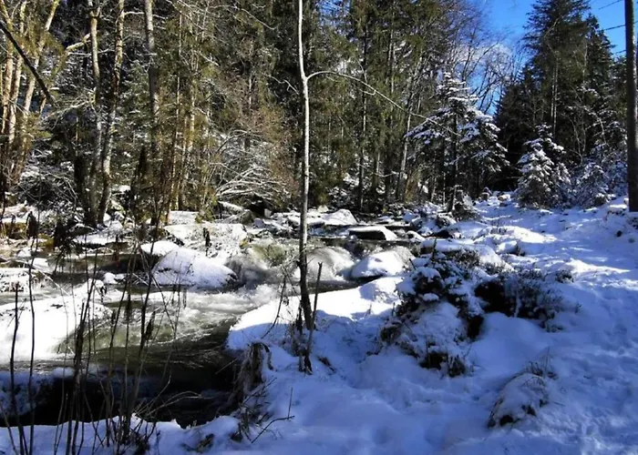 In Bernhardsberg Nahe Skipisten Апартаменты
