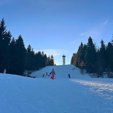 In Bernhardsberg Nahe Skipisten Lejlighed Waldkirchen