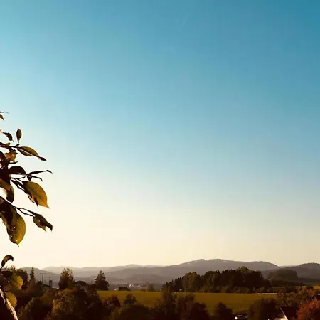 In Bernhardsberg Nahe Skipisten Lejlighed *
